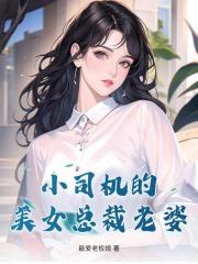 小司機的美女總裁老婆