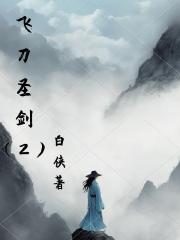 飛刀聖劍2