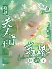 施總，夫人不追！帶崽離婚回港了