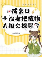 擺攤開飯館，她驚動全京城