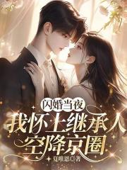 閃婚當夜，我懷上繼承人空降京圈