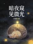 暗夜窺見微光