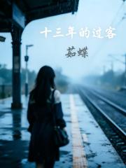 十三年的過客