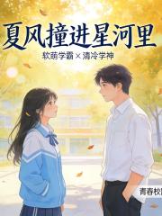 夏風撞進星河裏